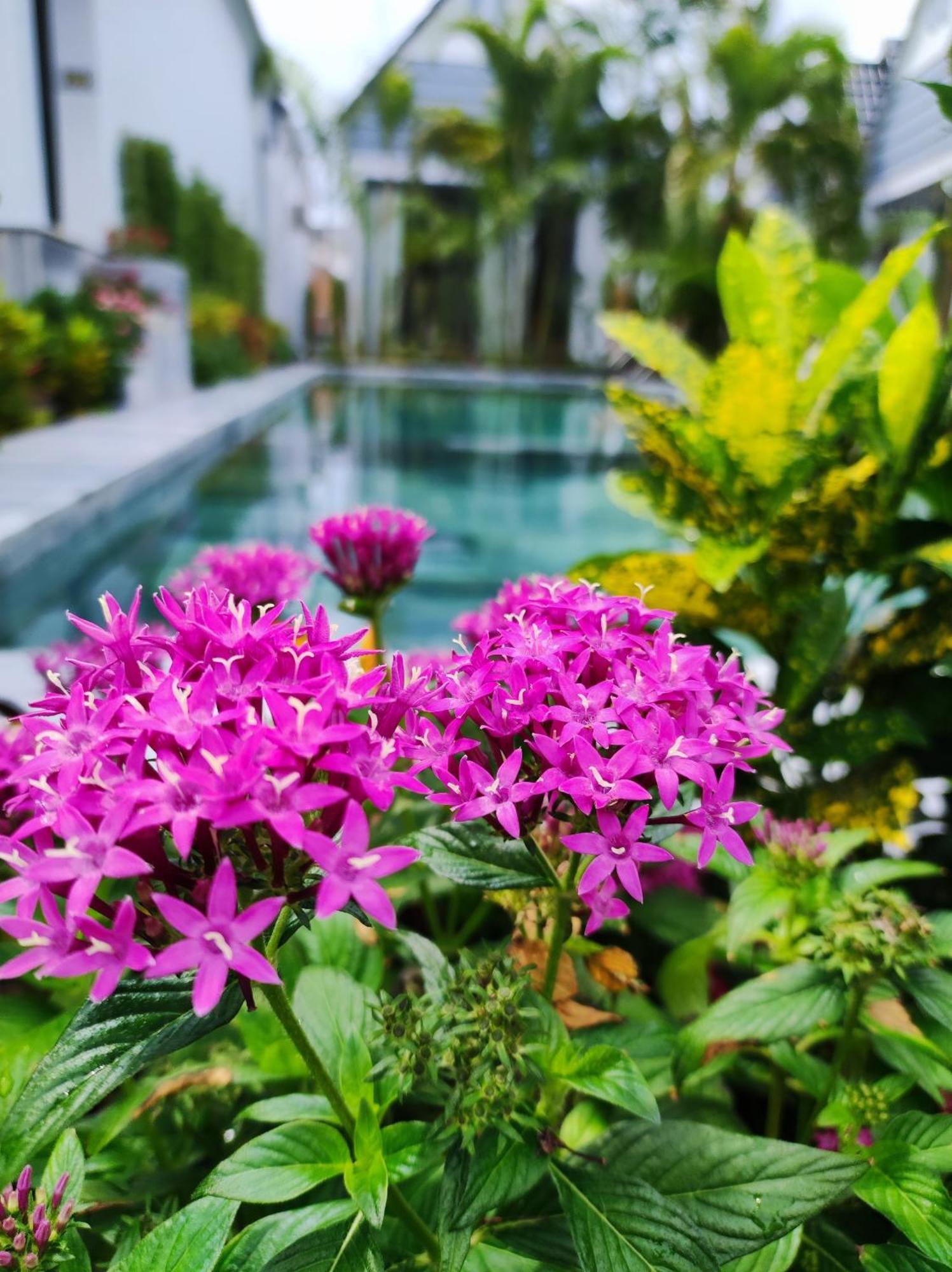 Ngoc Trai Xanh Bungalow Duong Dong Exterior foto